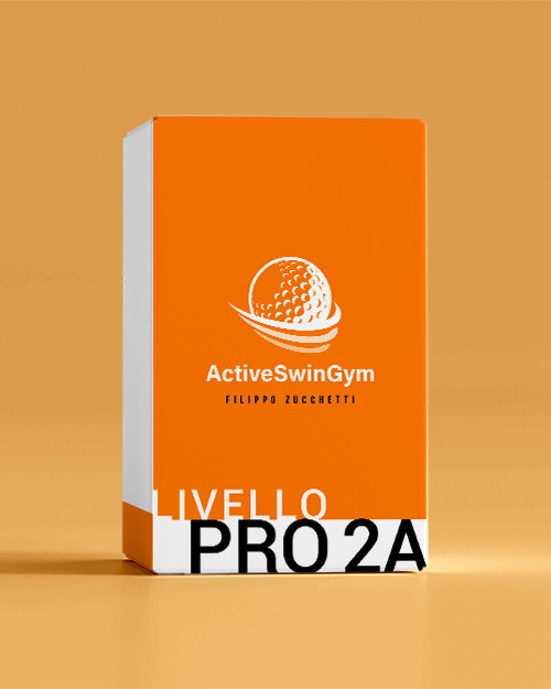 Level PRO2/A