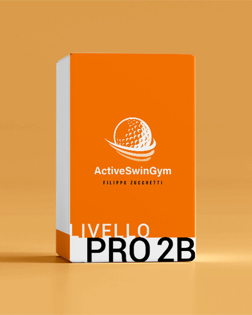 Level PRO2/B